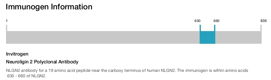 Neuroligin 2 Polyclonal Antibody