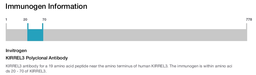 KIRREL3 Polyclonal Antibody