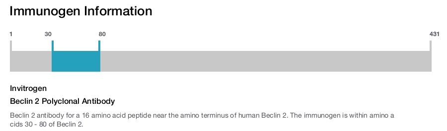 Beclin 2 Polyclonal Antibody