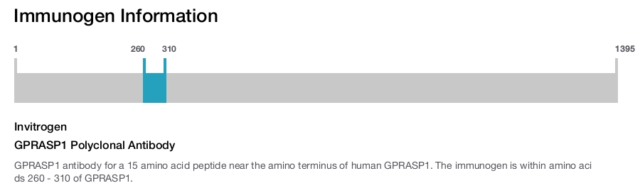 GPRASP1 Polyclonal Antibody