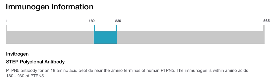 STEP Polyclonal Antibody