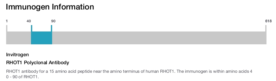 RHOT1 Polyclonal Antibody