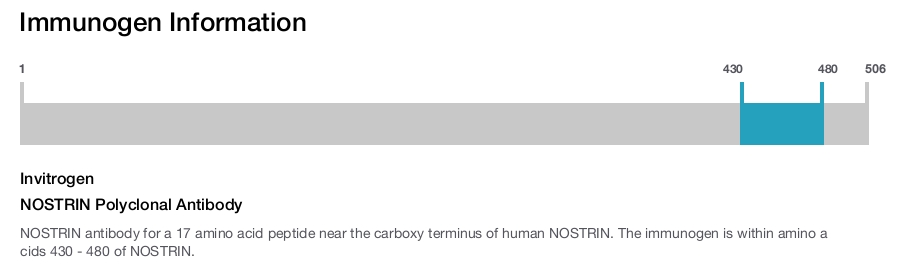 NOSTRIN Polyclonal Antibody
