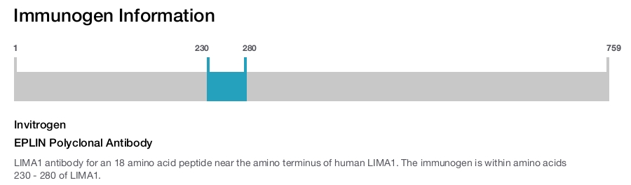 EPLIN Polyclonal Antibody