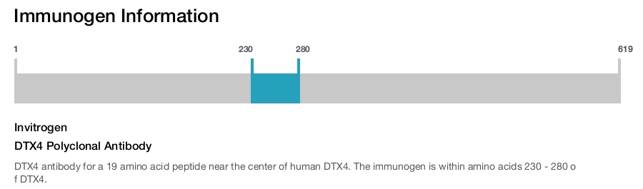 DTX4 Polyclonal Antibody