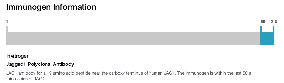Jagged1 Polyclonal Antibody
