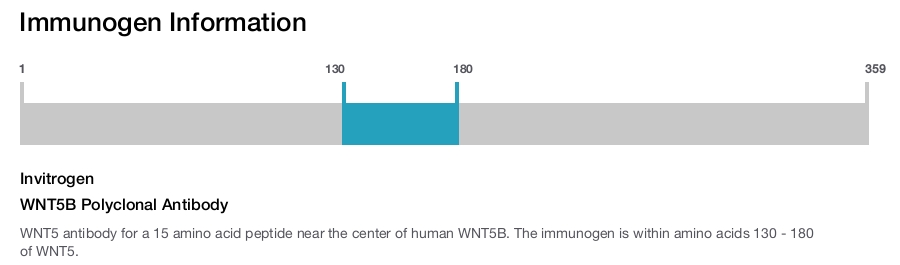WNT5B Polyclonal Antibody
