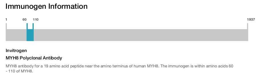 MYH8 Polyclonal Antibody