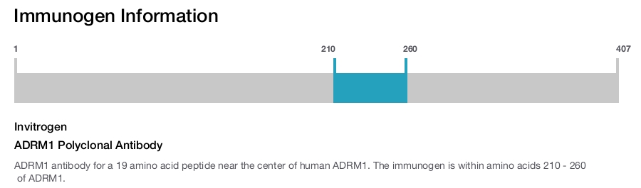 ADRM1 Polyclonal Antibody