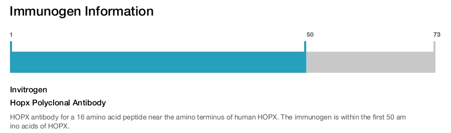 Hopx Polyclonal Antibody