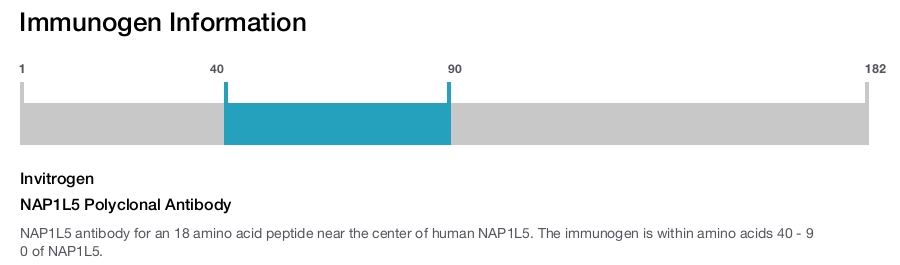 NAP1L5 Polyclonal Antibody