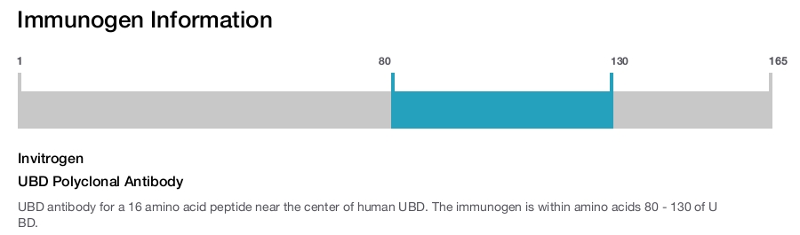 UBD Polyclonal Antibody