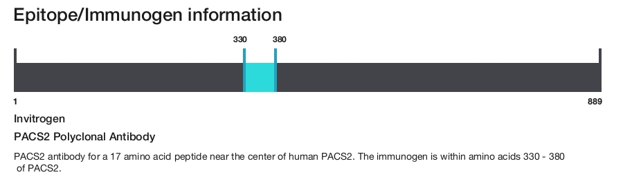 PACS2 Polyclonal Antibody