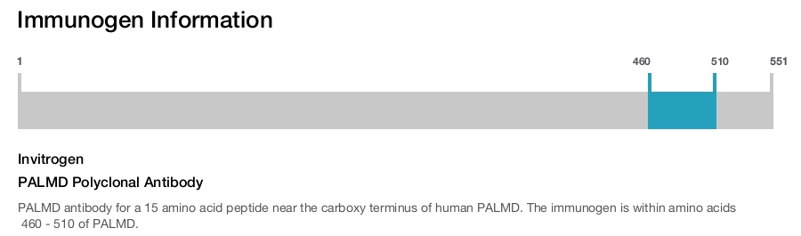 PALMD Polyclonal Antibody