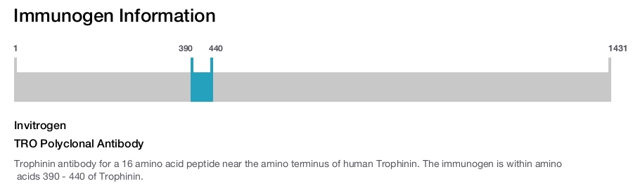 TRO Polyclonal Antibody