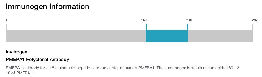 PMEPA1 Polyclonal Antibody