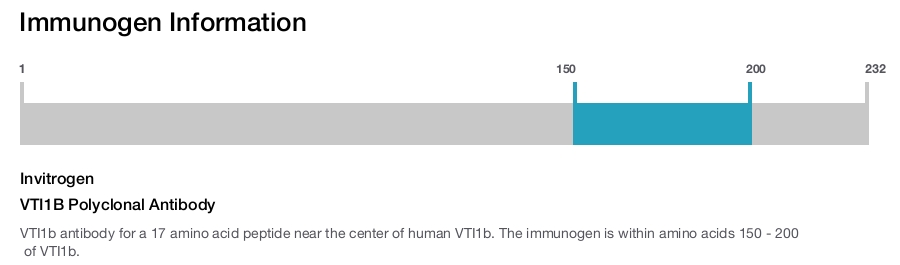 VTI1B Polyclonal Antibody