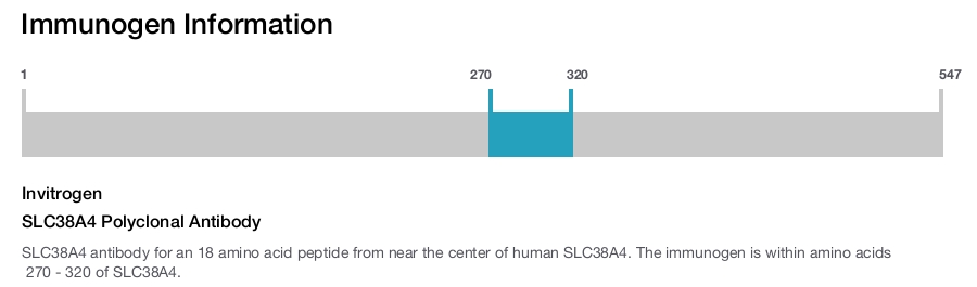 SLC38A4 Polyclonal Antibody