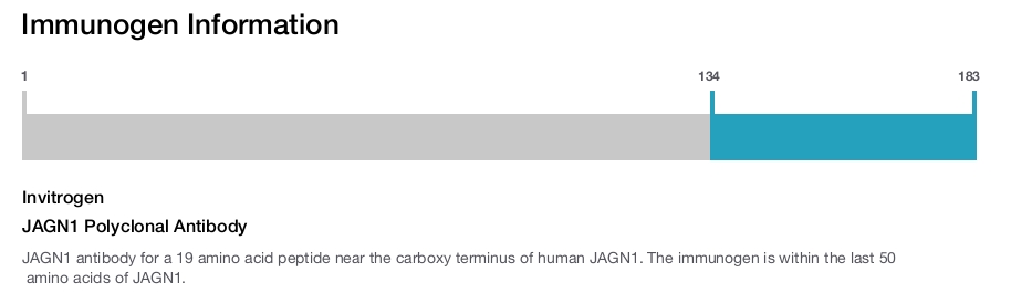 JAGN1 Polyclonal Antibody