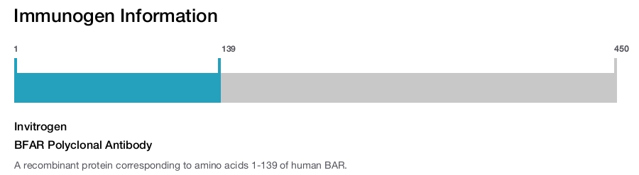 BFAR Polyclonal Antibody