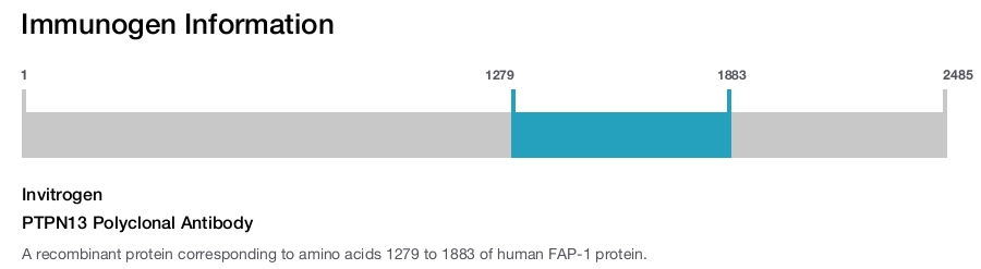 PTPN13 Polyclonal Antibody