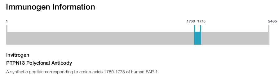 PTPN13 Polyclonal Antibody