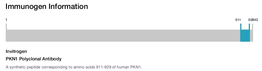 PKN1 Polyclonal Antibody