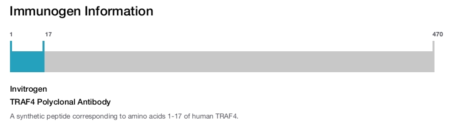 TRAF4 Polyclonal Antibody