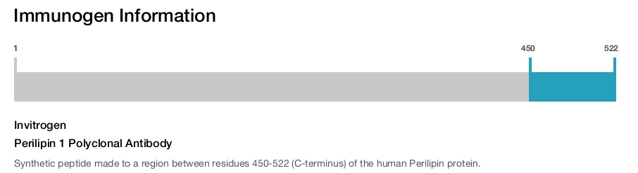 Perilipin 1 Polyclonal Antibody