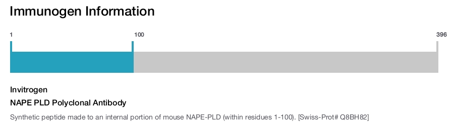 NAPE PLD Polyclonal Antibody