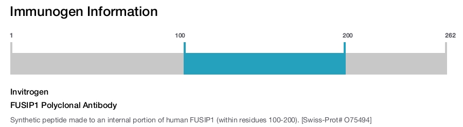 FUSIP1 Polyclonal Antibody