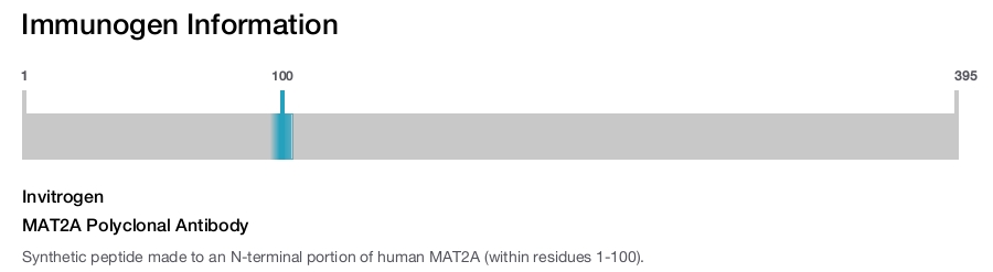MAT2A Polyclonal Antibody