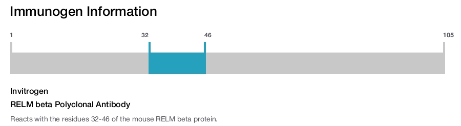 RELM beta Polyclonal Antibody