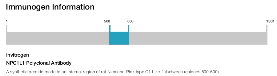NPC1L1 Polyclonal Antibody
