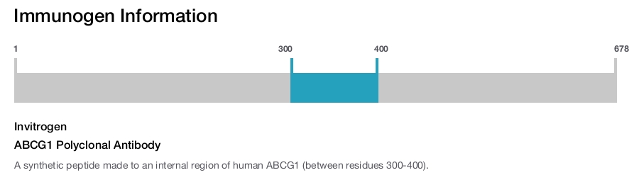 ABCG1 Polyclonal Antibody