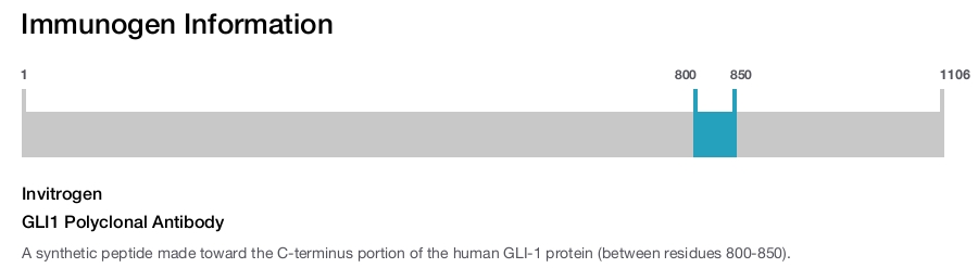 GLI1 Polyclonal Antibody