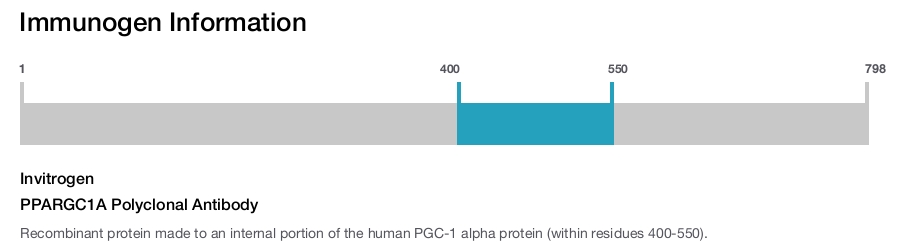 PPARGC1A Polyclonal Antibody