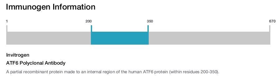 ATF6 Polyclonal Antibody