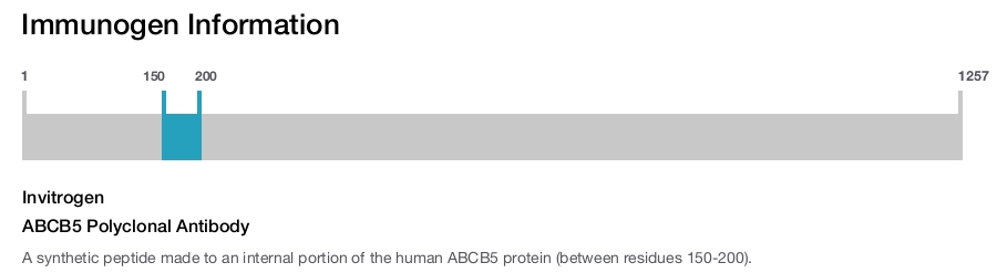 ABCB5 Polyclonal Antibody