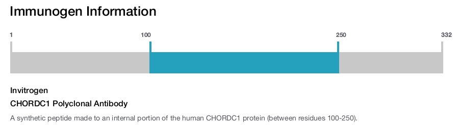 CHORDC1 Polyclonal Antibody