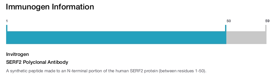 SERF2 Polyclonal Antibody