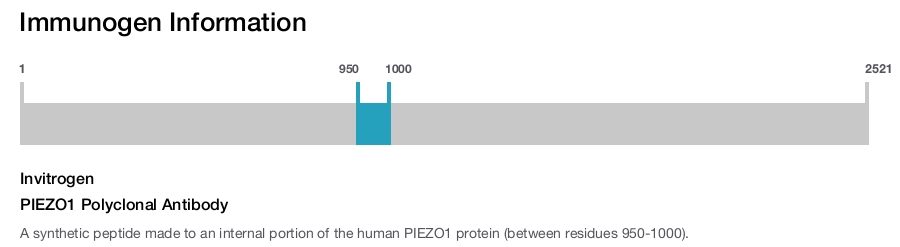 PIEZO1 Polyclonal Antibody