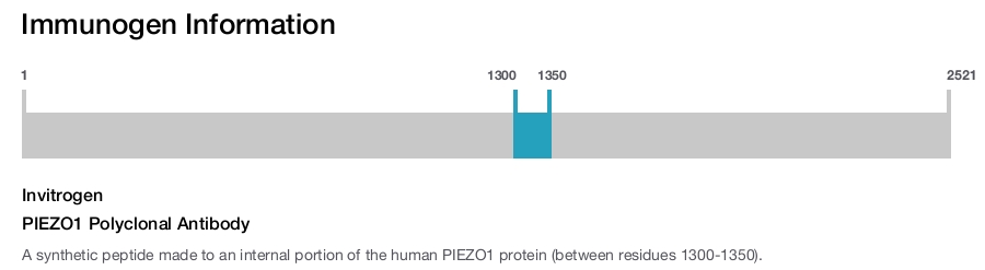 PIEZO1 Polyclonal Antibody