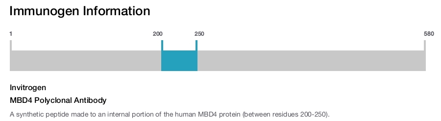 MBD4 Polyclonal Antibody