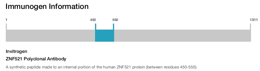 ZNF521 Polyclonal Antibody