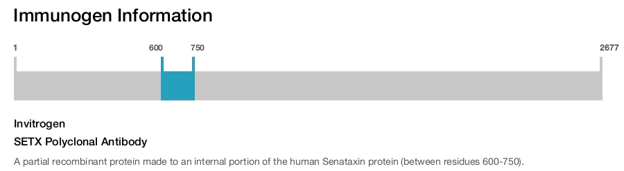 SETX Polyclonal Antibody