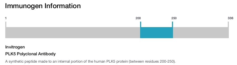 PLK5 Polyclonal Antibody