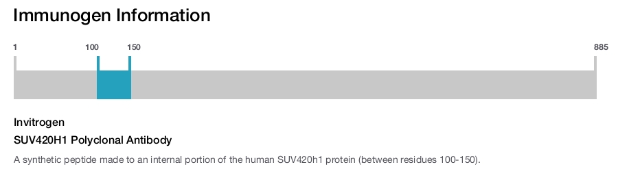 SUV420H1 Polyclonal Antibody