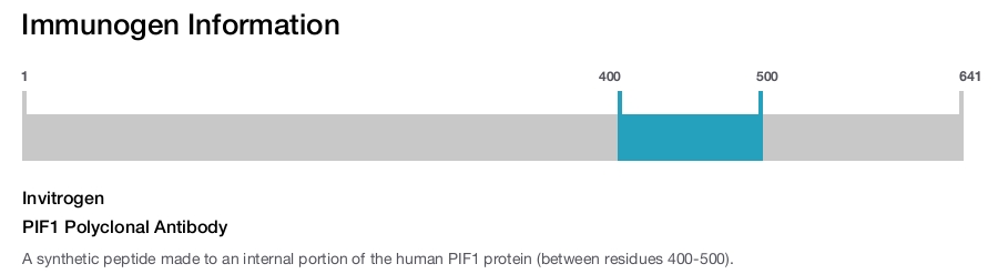PIF1 Polyclonal Antibody