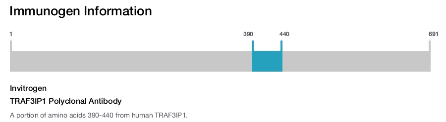 TRAF3IP1 Polyclonal Antibody